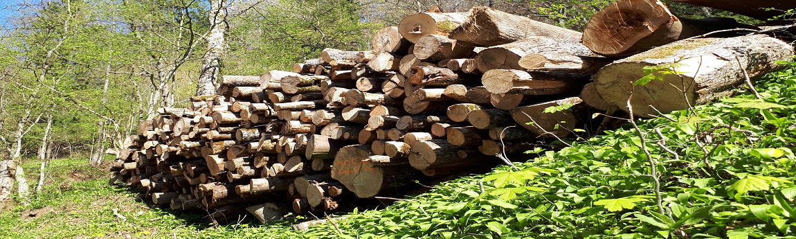 Bürgergemeinde Lostorf