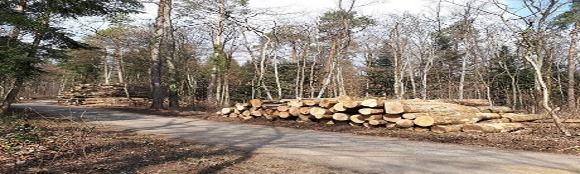 Bürgergemeinde Lostorf