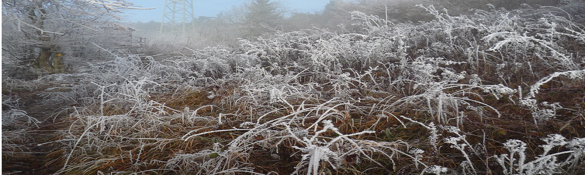 Bürgergemeinde Lostorf